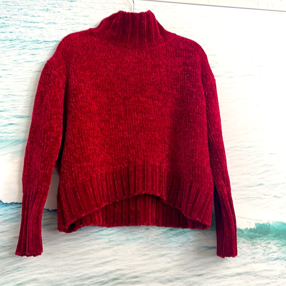 Chelsea & Theodore Size Small Crushed red velvet Sweater